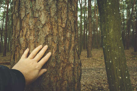 The man touching a brown tree trunkの写真素材