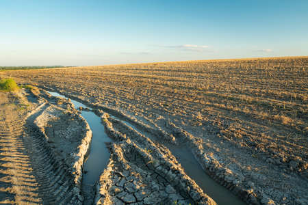 Traces of wheels in the mud and mowed field on a hillside, Staw, Poland