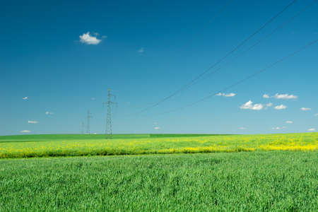 Electric poles standing in the green fieldの写真素材