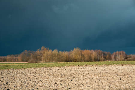 Plowed field, autumn forest and dark big cloud on the sky