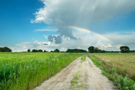 Country road through green fields and rainbow on blue sky, summer landscapeの写真素材