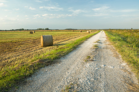 Gravel road and hay bales on the field, tiny clouds on the sky, summer rural viewの写真素材