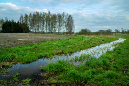 Ditch with water and trees beyond the field, Zarzecze, Polandの写真素材