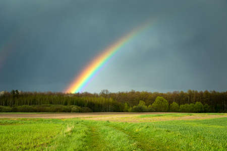 Rainbow over the forest and green meadow, Czulczyce, Polandの写真素材