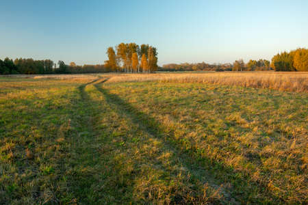 The road through the meadow and autumn trees