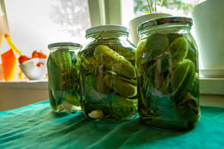 Jars with pickled green cucumbers on the countertopの写真素材