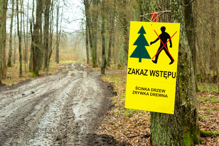 Forest with a board forbidden entry, logging of treesの写真素材