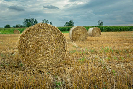 Round hay bales in the field and cloudy sky, Nowiny, Polandの写真素材