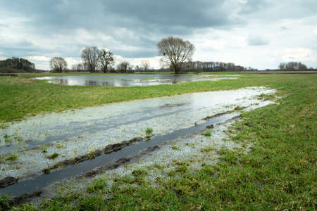 Water after a downpour on a green meadow, Nowiny, Polandの写真素材