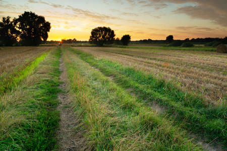 Dirt road between fields and the sunset sky, Nowiny, Lubelskie, Polandの写真素材