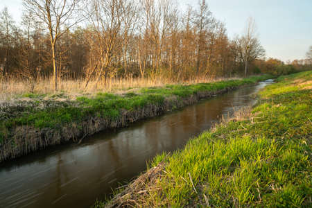 The Uherka river current in eastern Poland, Stankowの写真素材
