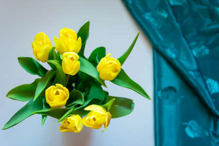 A bouquet of yellow tulips seen from above and a piece of fabricの写真素材