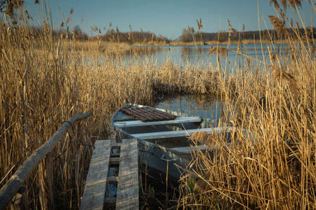 A small boat in the reeds of the lakeの写真素材
