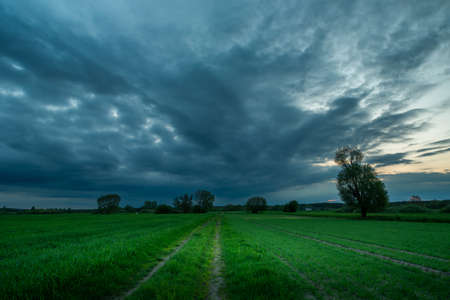 Road through green fields and rainy clouds, spring eveningの写真素材