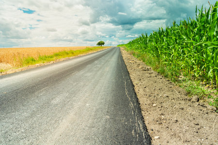 An asphalt road by a green corn field and clouds in the skyの写真素材