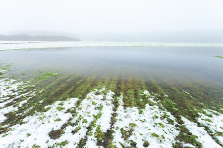View on a foggy day on a rural field flooded with water by melting snow, Eastern Polandの写真素材