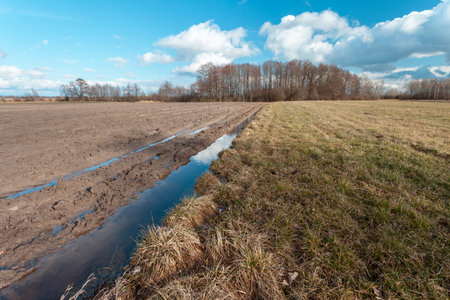 Water in a plowed field next to a meadow and clouds on the blue skyの写真素材