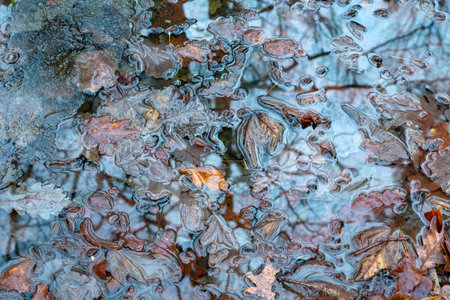 Fallen autumn leaves of trees in the water, autumn view