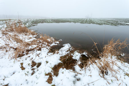 Snow and water in the field on a foggy day, Czulczyce, Polandの写真素材