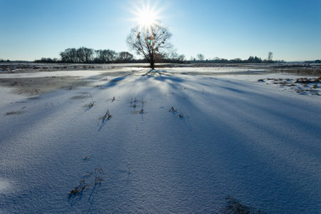 The sun over the tree and shadows on the snowy meadow, winter view, eastern Polandの写真素材