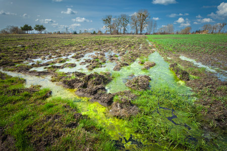 Water with mud on a farm field, spring day, eastern Polandの写真素材