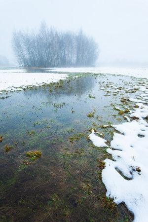View of a meadow with melting snow and trees in the fog, February day in Nowiny, Poland