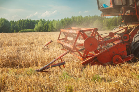 A combine harvester mowing low, poor grain yields, summer view