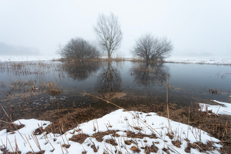 View of a meadow with water covered with snow with trees on the horizon in the fogの写真素材