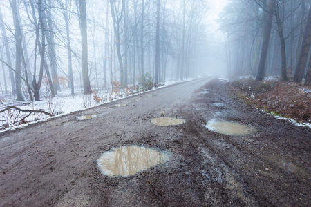 Puddles on a dirt road in a misty winter forest, eastern Polandの写真素材