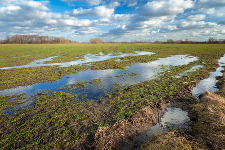 Water puddles on a rural green field and clouds in the skyの写真素材