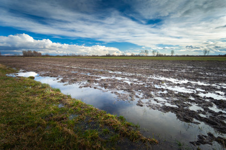 Flooded Farmland After Snowmelt in Nowiny, Lublin Voivodeship, Poland, February Rural Landscape