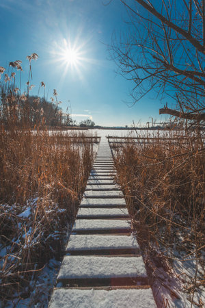Snow on a jetty in the reeds with a frozen lake on a sunny winter day, eastern Polandの写真素材