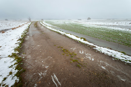 Dirt road and melting snow in rural fields, foggy winter day, eastern Polandの写真素材