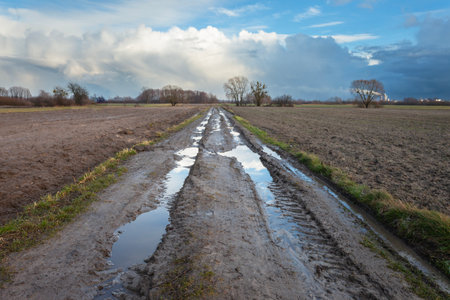 Puddles on the dirt road between plowed fields, eastern Polandの写真素材