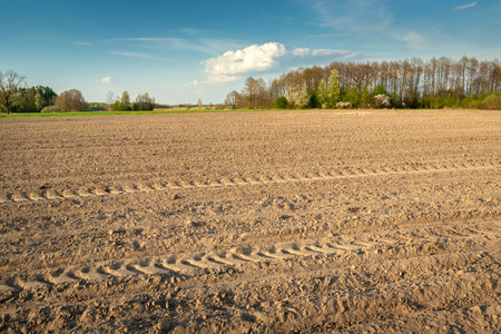 View of a dry and plowed rural field, spring day, Nowiny, Polandの写真素材