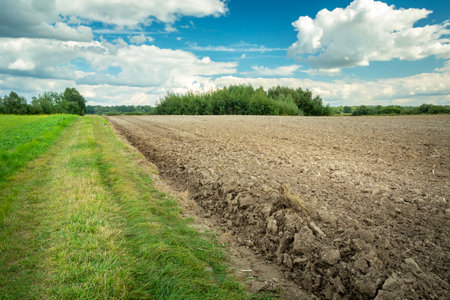 A path by a plowed rural field and a clear sky, summer dayの写真素材