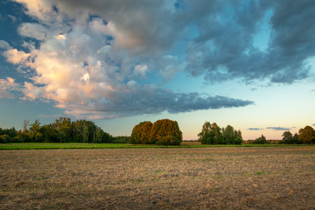 Colorful evening cloud over rural field, summer viewの写真素材