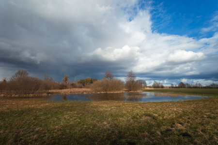 Water after rain in the meadow and a cloudy sky, Nowiny, Lubelskie, eastern Polandの写真素材