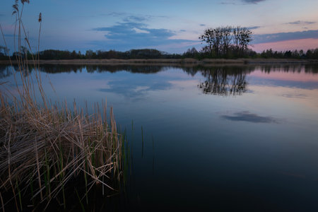 Evening by the calm lake, Stankow, Polandの写真素材