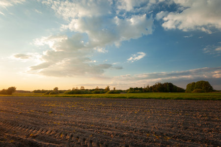 View of a rural plowed field and a sky with white clouds illuminated by warm sunlight, eastern Polandの写真素材