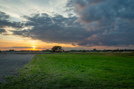 Evening clouds from sunset over the green meadow next to the fieldの写真素材