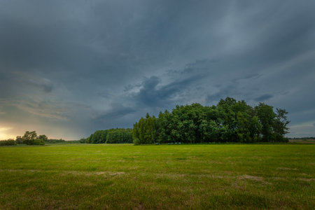Cloudy stormy sky over a green meadow with treesの写真素材