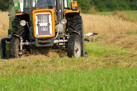 Polish old tractor and round baler to collect hay, summer dayの写真素材