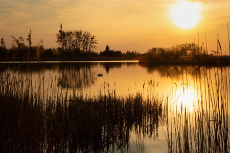 The glow of sunset over the lake with reeds, Stankow, Polandの写真素材