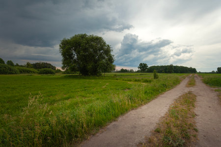 Dark storm clouds over a meadow with a tree and a dirt road, eastern Polandの写真素材