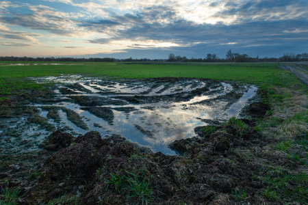 Water on the meadow at the manure storage site and the evening sky, spring view