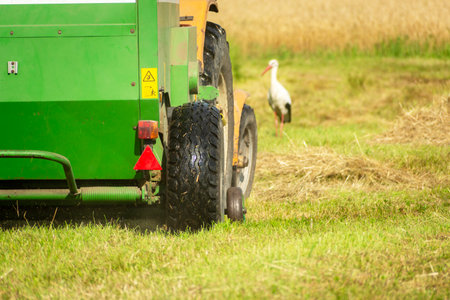 Rear of a hay baler machine with a tractor in a meadow and a standing stork, summer dayの写真素材
