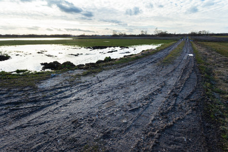Dark muddy side road and meadow with puddleの写真素材
