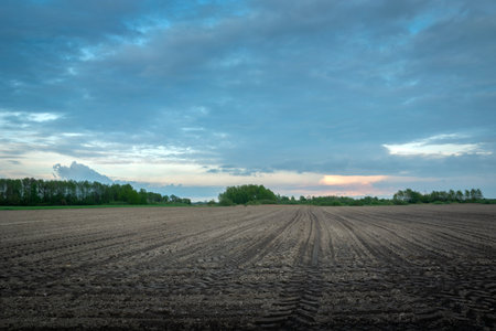 Plowed field and cloudy evening sky, spring viewの写真素材