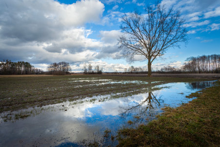 Water in the rural field and clouds in the skyの写真素材